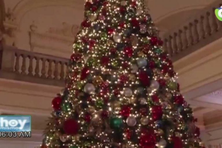 Presidente Medina enciende árbol navideño en el Palacio Nacional