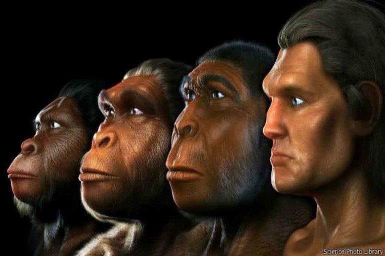 La inteligencia artificial confirma que hubo otra especie de homínidos