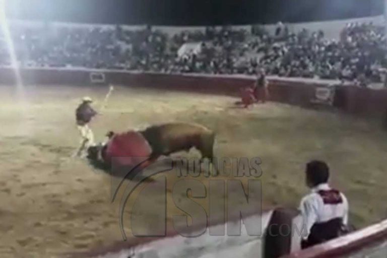 Toro mata un caballo y ataca varias personas en Colombia