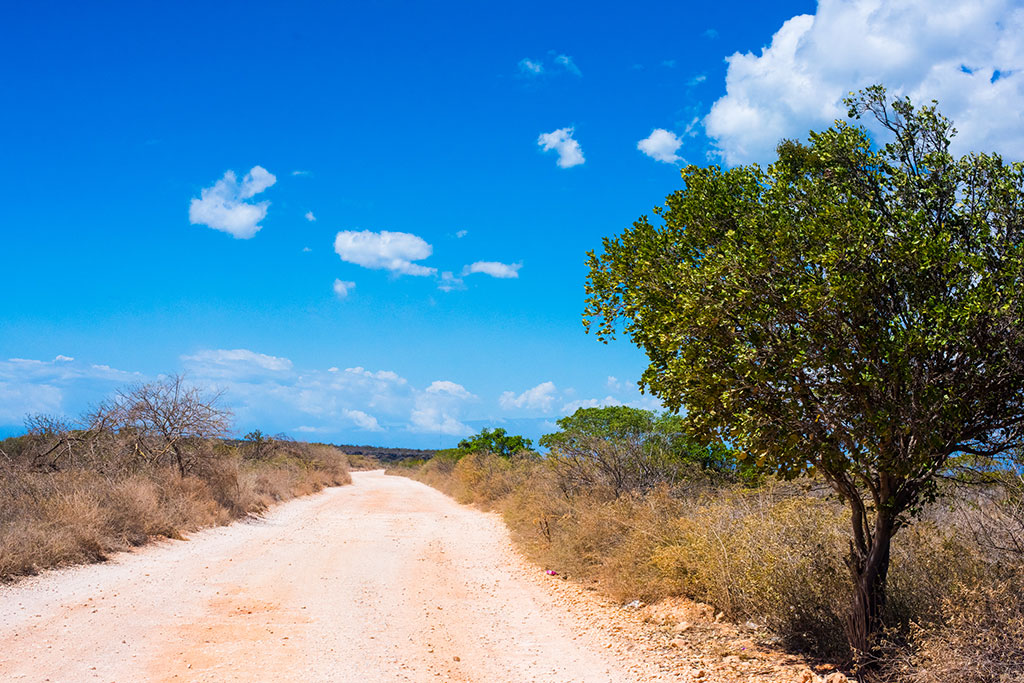 Cabo Rojo - República Dominicana - Color Visión