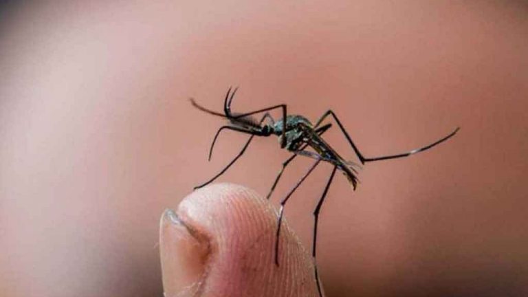Presidente del CMD: «Hay un brote de dengue en todo el país»