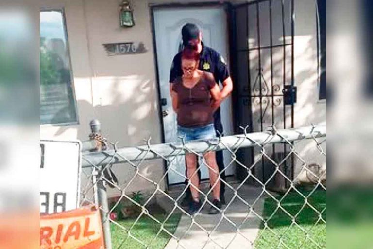 Condenan a prisión en California a una mujer que tiró a la basura a 7 cachorros de perro
