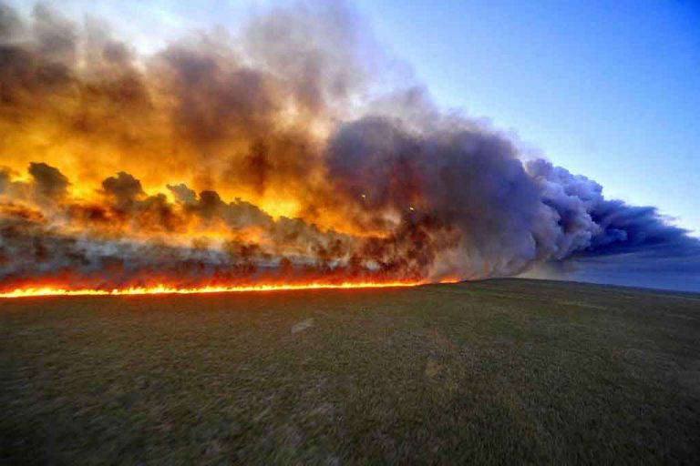 Políticos, deportistas y artistas muestran preocupación por incendios en la Amazonia