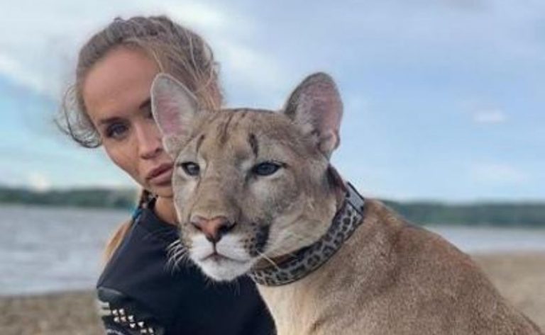Mujer que tiene a un puma salvaje de mascota conmociona las redes sociales