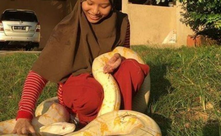 ¡Increíble! Esta chica tiene 6 pitones como mascota en el patio de su casa