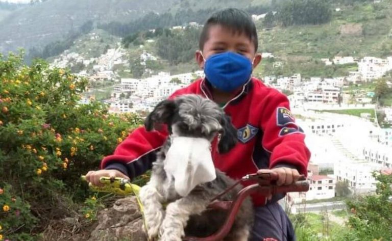 «No quiero que se enferme», la historia viral del niño que pone mascarilla a su perro