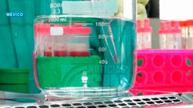 México podría producir vacuna de coronavirus desde primer trimestre de 2021