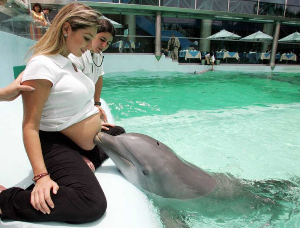 La delfinoterapia