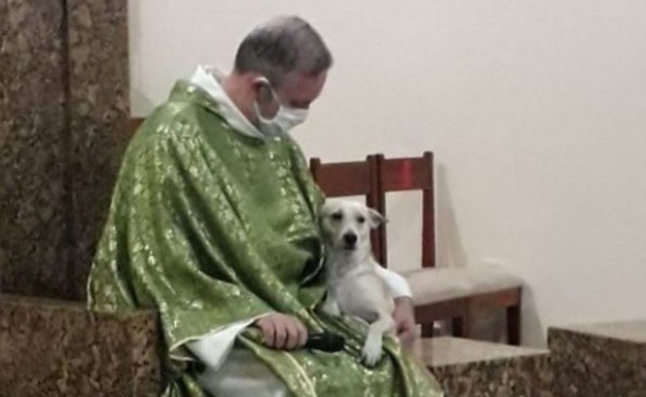 Sacerdote lleva perros callejeros a misa