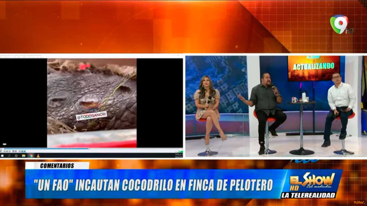 Incautan Cocodrilo en finca de Pelotero