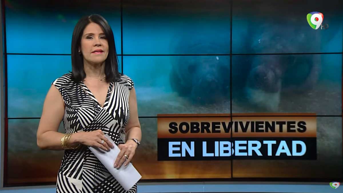 Sobrevivientes en Libertad - El Informe con Alicia Ortega