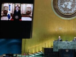 Asamblea General de la ONU