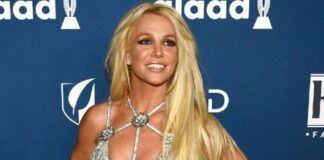 Britney Spears tutela