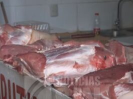 Carne de cerdo en Azua