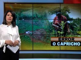 Error o Capricho | El Informe con Alicia Ortega