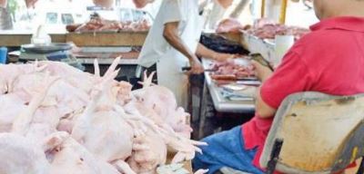 Productores avícolas garantizan carne de pollo