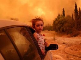 Incendios en Grecia acaban con todo