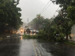 Paso de tormenta Fred