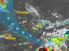 Tormenta Fred