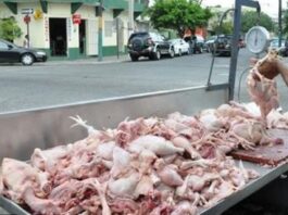 Gobierno enfrenta escasez de pollo