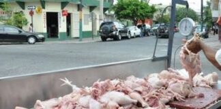Gobierno enfrenta escasez de pollo