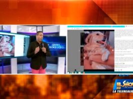 Indignante caso de Asesinato de una Perrita | El Show del Mediodía