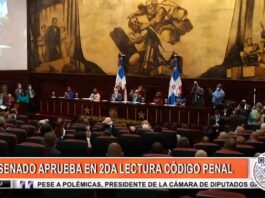 Senado aprueba en 2da lectura Código Penal / Leonel apoya el cumulo de pena | El Despertador