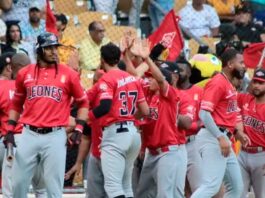 Leones vencen a Águilas y fuerzan partido decisivo de Play In