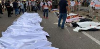 Muertos en Mexico