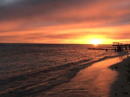 guayacanes atardecer