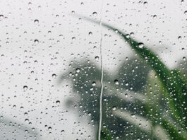 Onamet: Tarde con aguaceros, tormentas eléctricas y ráfagas de viento hacia el interior del país