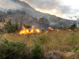 Un incendio fue reportado esta mañana en el Parque Nacional El Morro, en Monte Cristi