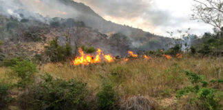 Un incendio fue reportado esta mañana en el Parque Nacional El Morro, en Monte Cristi