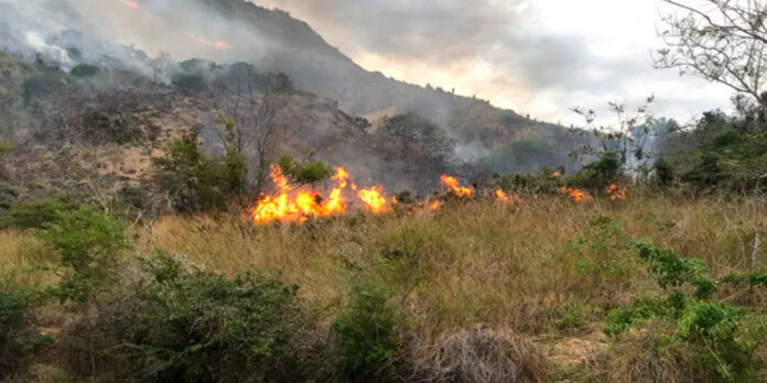 Un incendio fue reportado esta mañana en el Parque Nacional El Morro, en Monte Cristi