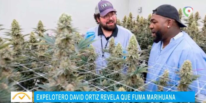 David Ortiz revela que fuma Marihuana | El Despertador SIN