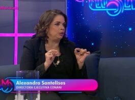 Conversamos con Alexandra Santelises Directora ejecutiva de CONANI