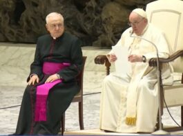 Delicado estado de salud del Papa Benedicto XVI