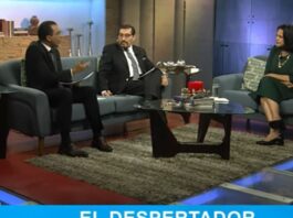 Minou Távarez “El ministerio público no se puede llamar independiente” | El Despertador