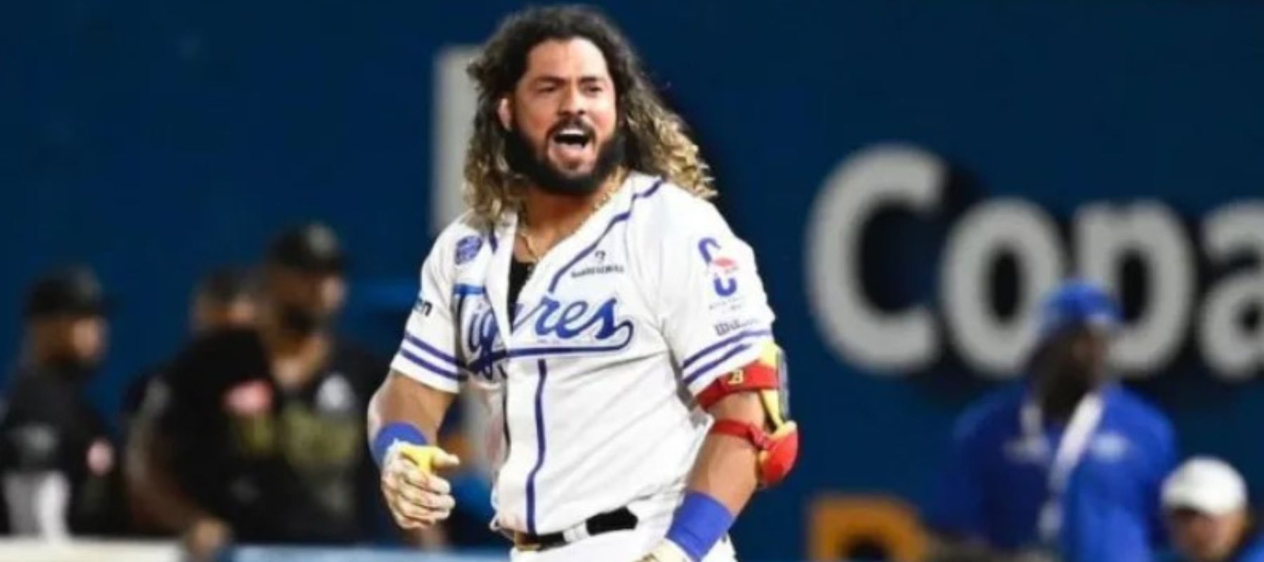 Tigres del Licey on X: JORGE “AQUAMAN” ALFARO!!! 🔱🌊😎 Jugador