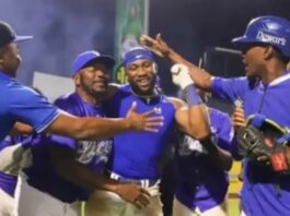 Rojas Jr. decide y así llegó la corona 23 para los Tigres del Licey