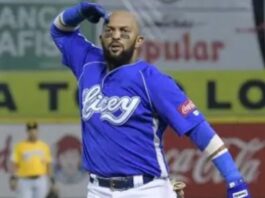 Tigres y Estrellas apagan el Cibao y avanzan a la final en Lidom