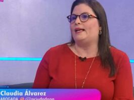 Claudia Álvarez, Crimen organizado y partidos políticos