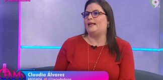 Claudia Álvarez, Crimen organizado y partidos políticos