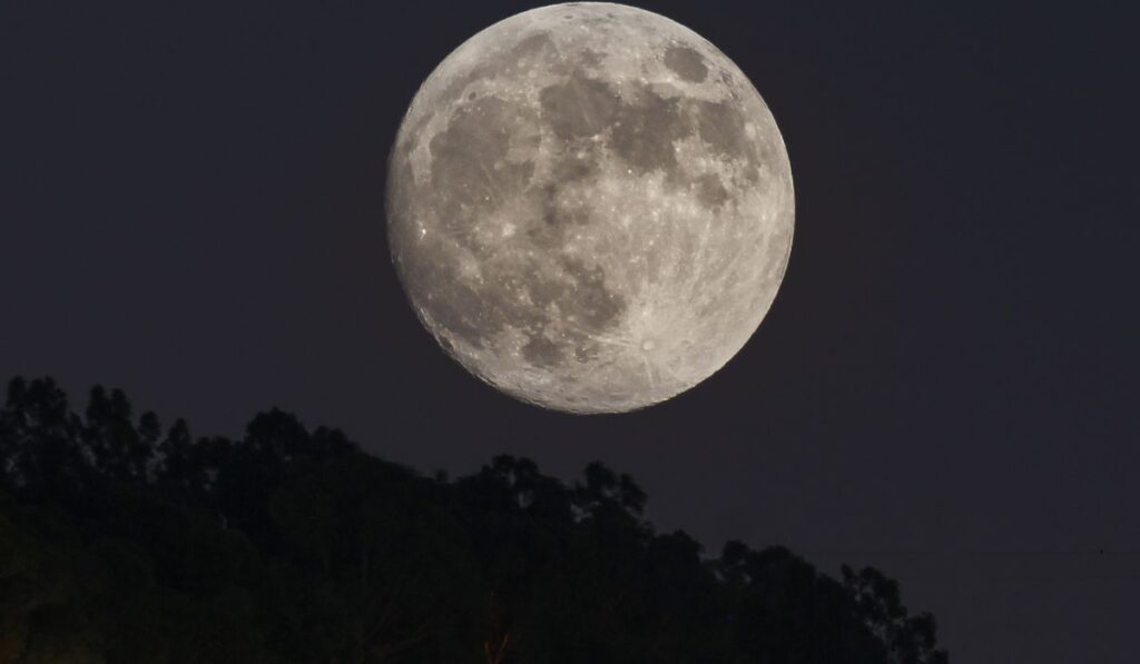 Luna llena luminosa sobre un horizonte de árboles oscuros.