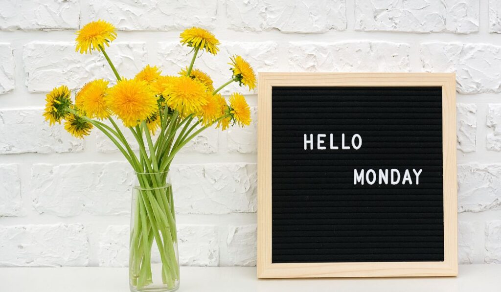 Flores de diente de león amarillas y cartel de fieltro que dice "HELLO MONDAY".