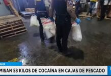 58 kg de cocaína son decomisadas tras enviarlas en cajas de pescado