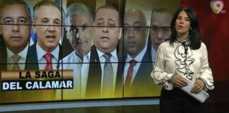 La Saga del Calamar
