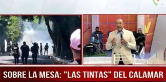 Las tintas del calamar