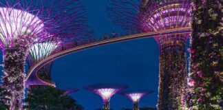 Algunas prohibiciones en Singapur