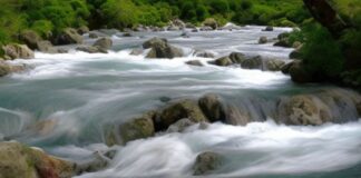 Amoldarse como el río para llegar al océano de la paz